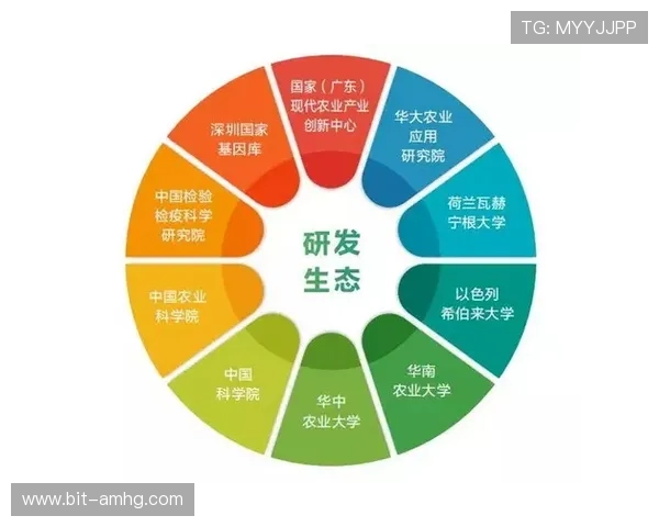 皇冠棋盘的现代创新设计与发展趋势，探讨传统与现代结合的创新路径